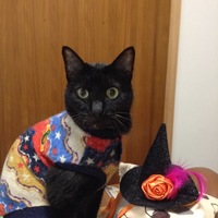 チョコ