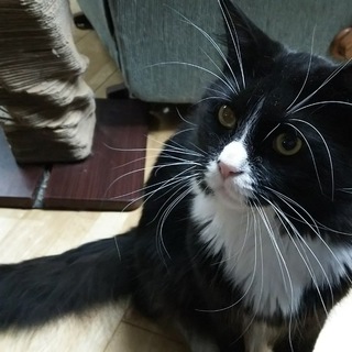 終生家族として可愛がってくださる方