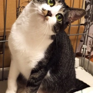 夢子です！ちょっとおっとり　キュートな女の子！