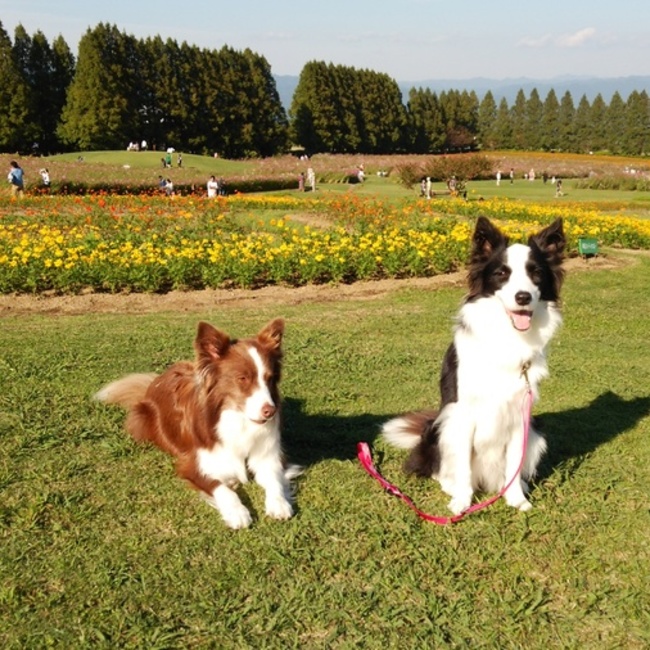 ぱあむちのカバー写真