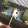 の写真