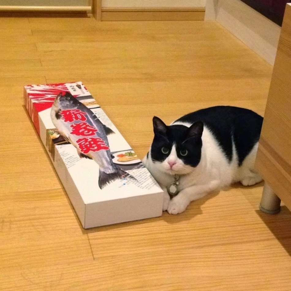 むさしのカバー写真