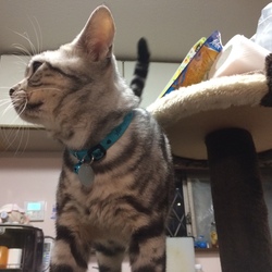 タグつきました。