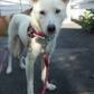 大人し過ぎるリリアちゃんお話頂いています