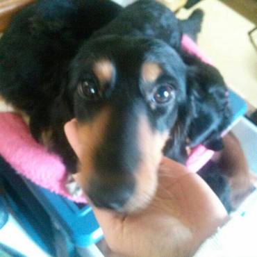 でっかいくせに甘えん坊でお調子者の大豆くんです