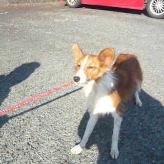 新しい家族との出会いがありました！！