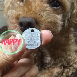 PET-IDタグつけました♪