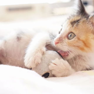 元気いっぱいの女の子