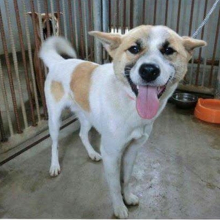 この子の命を救ってください。