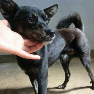 この子の命を救ってください。