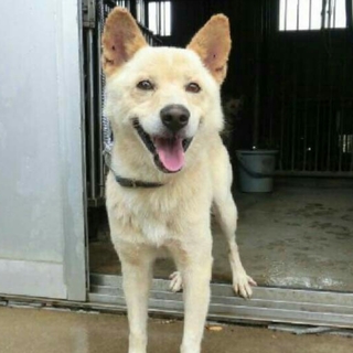 この子の命を救ってください。