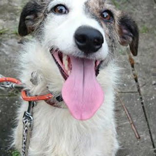 大分：いつも笑顔のジュリーです！