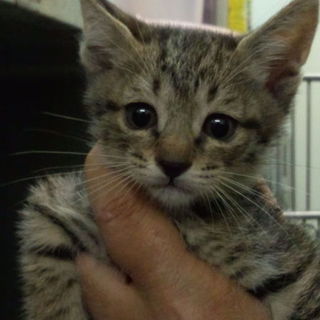 遊び大好き！可愛い兄妹です