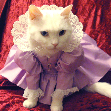 エリザベス・カラードレス