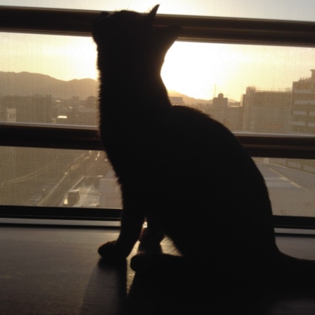 三四郎のカバー写真