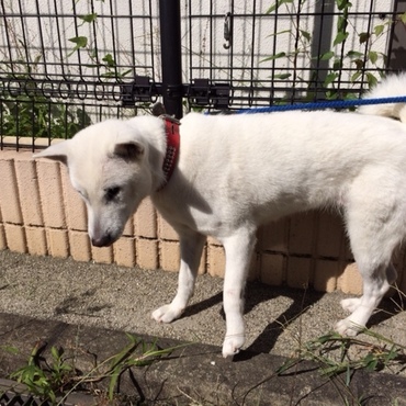 よろしくお願いします