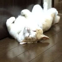 みぃ