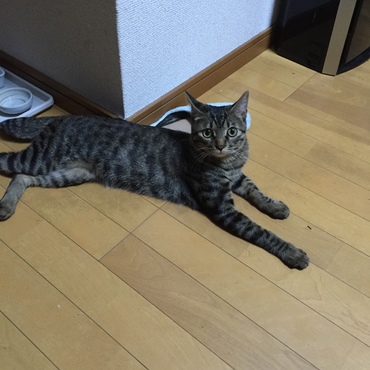 2015.10.7