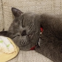クロエ