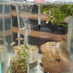 「抜かれたΣ(￣ロ￣lll)」サムネイル1