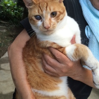 約1歳やんちゃなココちゃん