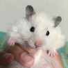 の写真