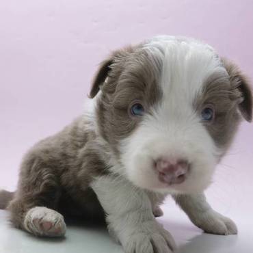 生後一ヵ月半のリアン。超カワユイ