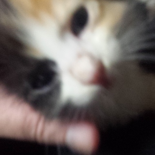 ありがとうございました！