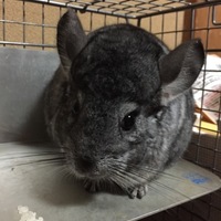 もっぷ
