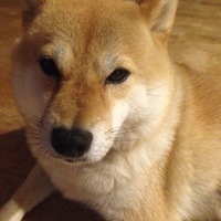 スカイ
