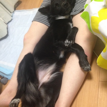 の写真