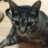 ミー