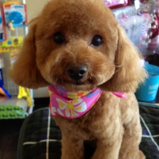 たくさんのお問い合わせありがとうございました