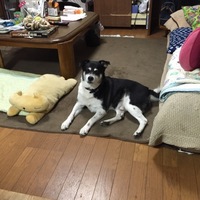 リク