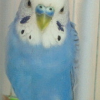 おかげさまで、優しい里親さんに出逢えました！