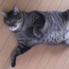 の写真