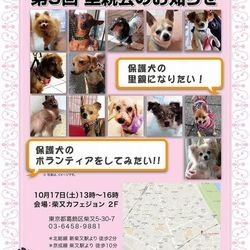 第9回アイドッグ里親会 サムネイル1