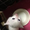 の写真