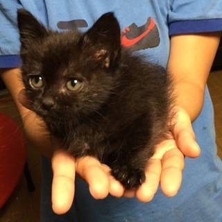 決まりました。ありがとうございました！