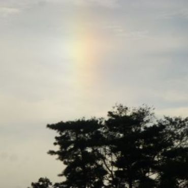 空へ向かって真っすぐに伸びる虹を見ました・・・そんな虹を見て久々に心が軽くなった私です
