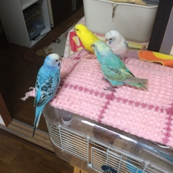 「ありがとう…」サムネイル3