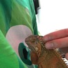 有難うございました。 サムネイル3
