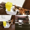 ペットファンウテン。よく飲みます♬