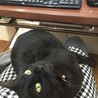 仕事にならず…