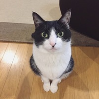 ユウ