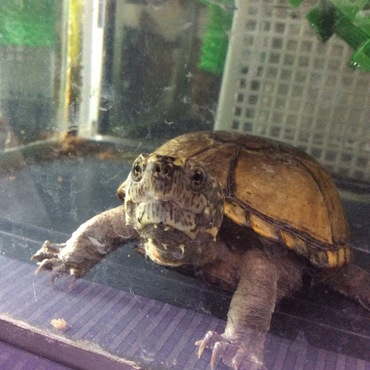 ん！？ご飯の時間かしら？