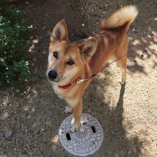 とても穏やかです^_^ティアラちゃん