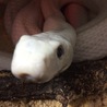 こんにちは〜〜