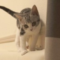ゆうり