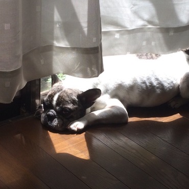 日向ぼっこ